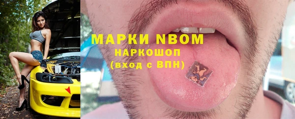 бошки Алексин