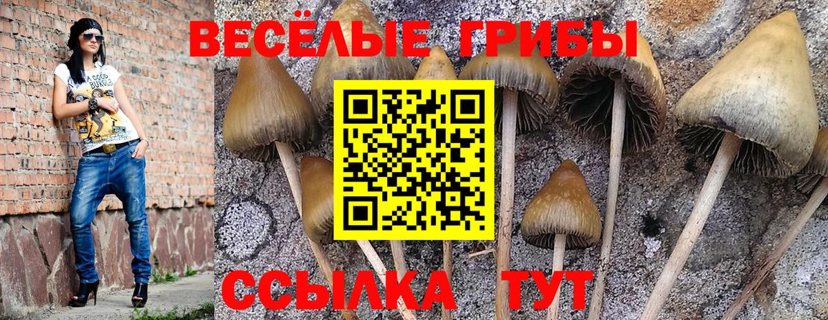 Псилоцибиновые грибы Psilocybe  Псилоцибиновые грибы GOLDEN TEACHER  Вход с VPN  Домодедово 